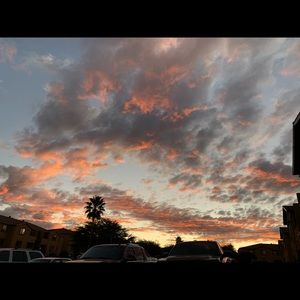 Meet your Posher, Celina